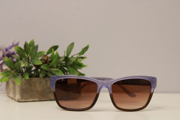 Lentes de sol - Guru