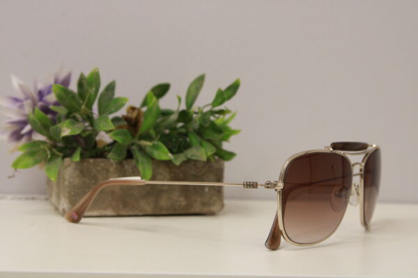 Lentes de sol - Cook