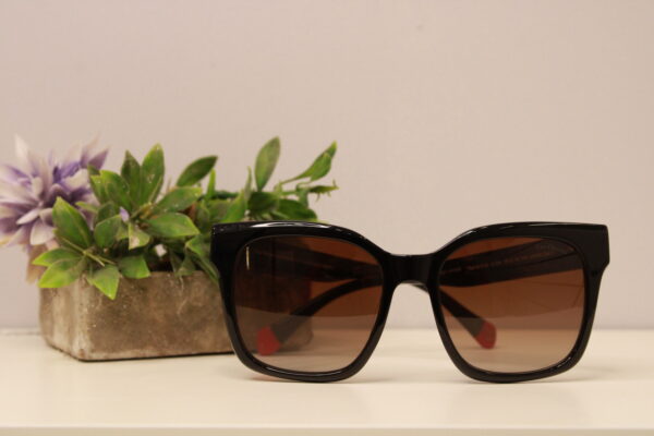 20240201111127_IMG_4257 Lentes de sol - Las Oreiro