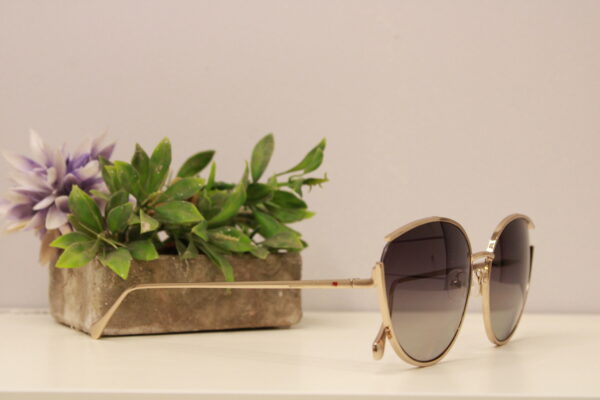 Lentes de sol - Las Oreiro