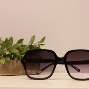 Lentes de sol - Prüne