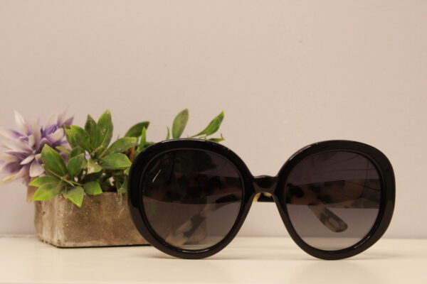 Lentes de sol - Prüne