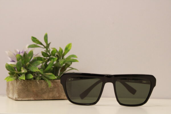 Lentes de sol - Why Not