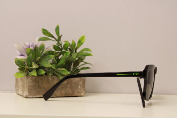 Lentes de sol - Why Not