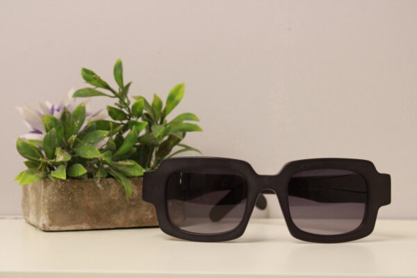 Lentes de sol - Why Not