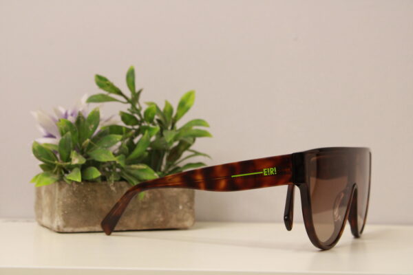 Lentes de sol - Why Not