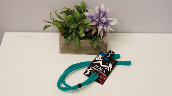 Sujetador Accesorio Deportivo turquesa