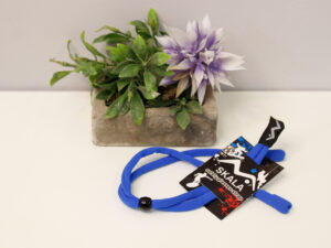 _MG_7684 Sujetador Accesorio Deportivo azul