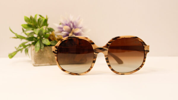 Lentes de sol - Ossira