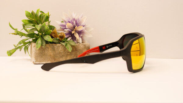 Lentes de sol - Reef