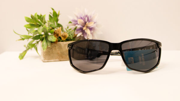 Lentes de sol - Reef