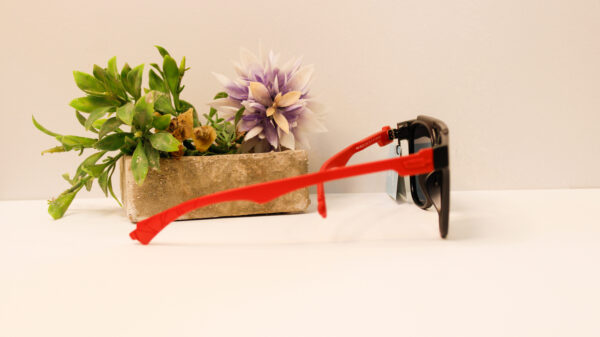 Lentes de sol - Reef