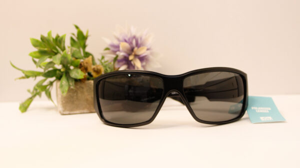 Lentes de sol - Reef