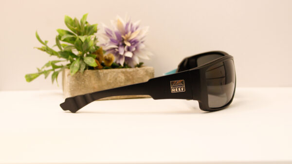 Lentes de sol - Reef