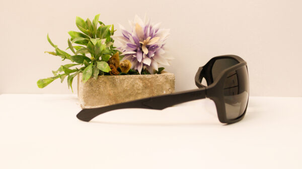 Lentes de sol - Reef