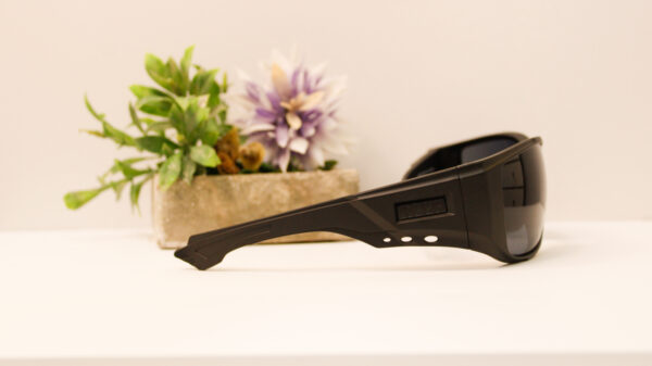 Lentes de sol - Reef