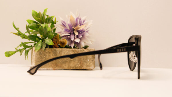 Lentes de sol - Reef