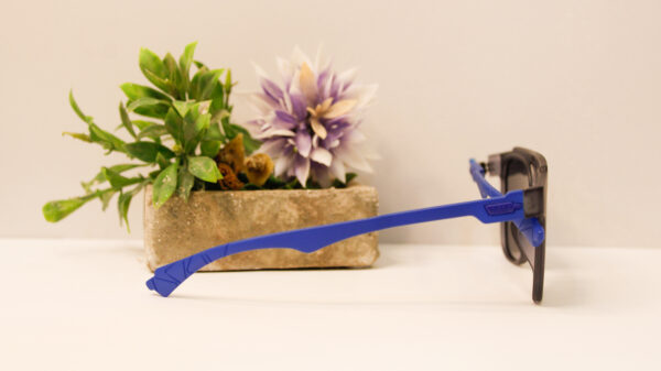 Lentes de sol - Reef