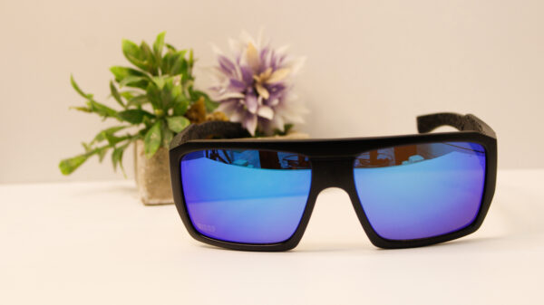 Lentes de sol - Reef