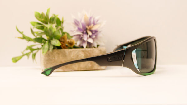 Lentes de sol - Reef