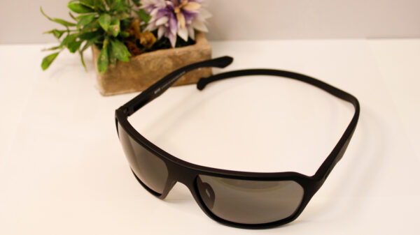 Lentes de sol - Reef