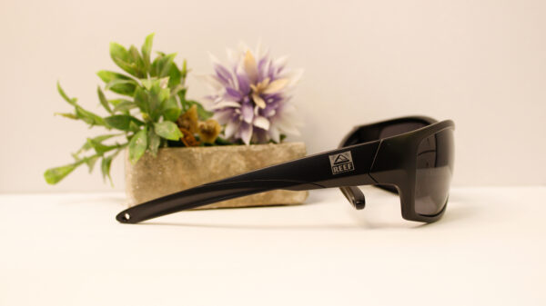 Lentes de sol - Reef