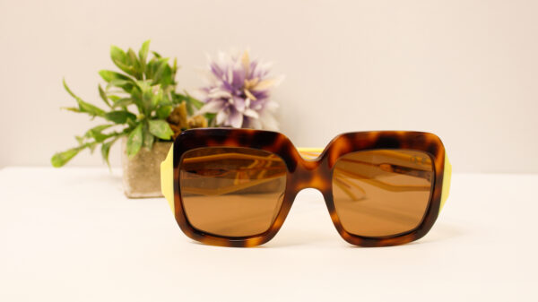 Lentes de sol - Ossira