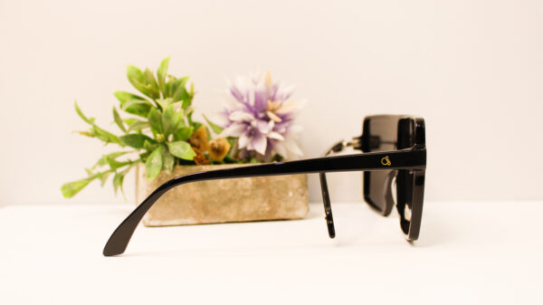 Lentes de sol - Ossira