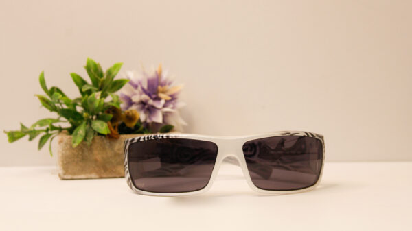 Lentes de sol - Reef