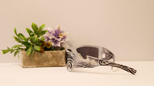 Lentes de sol - Reef