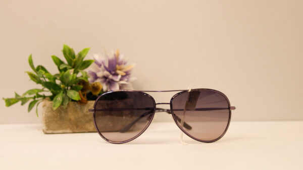 Lentes de sol - Sail