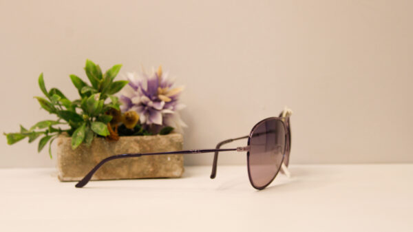 Lentes de sol - Sail