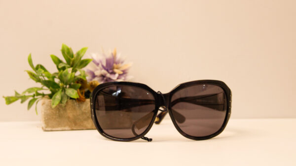 Lentes de sol - Adriana Constantini