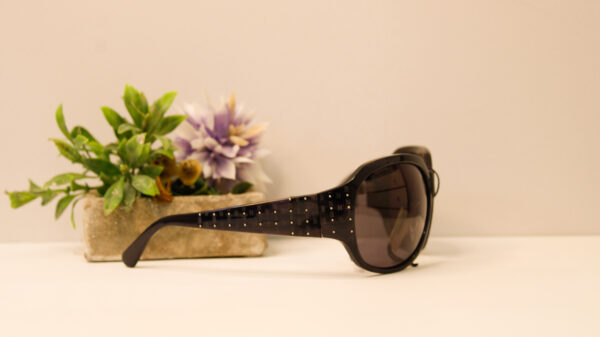 Lentes de sol - Adriana Constantini