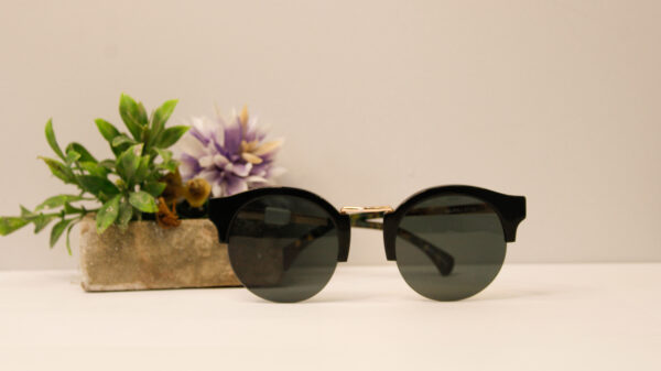 Lentes de sol - Guru