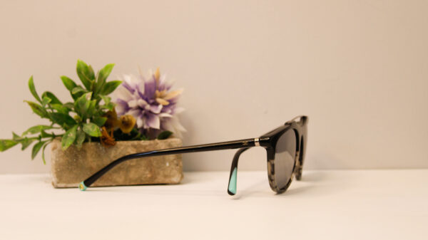 Lentes de sol - Infinit