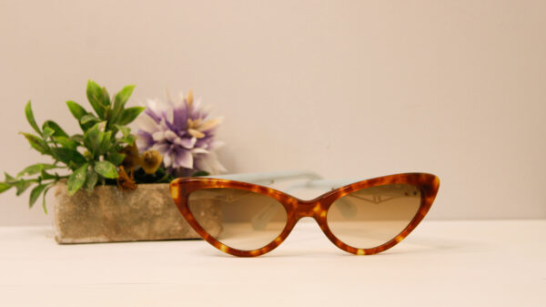 Lentes de sol - Araceli Gonzales