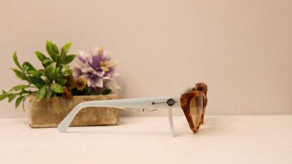 Lentes de sol - Araceli Gonzales