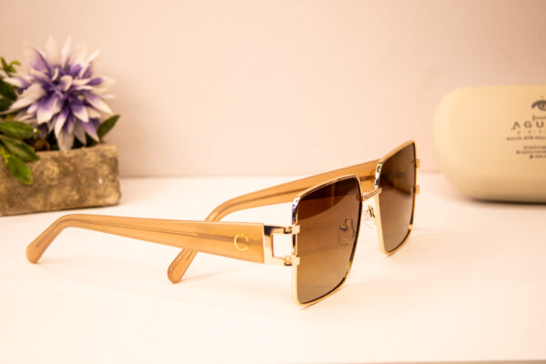 Lentes de sol - Carolina emanuel