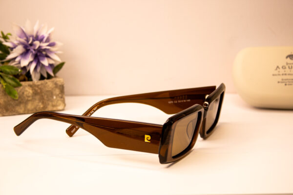 Lentes de sol - Pierre Cardin