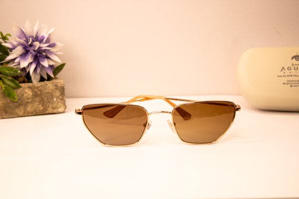 Lentes de sol - Carolina emanuel