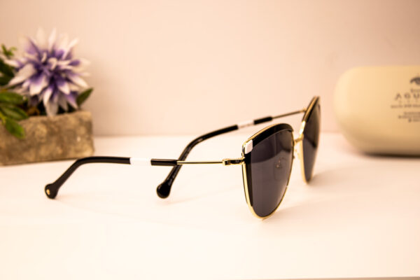 Lentes de sol - Pierre Cardin