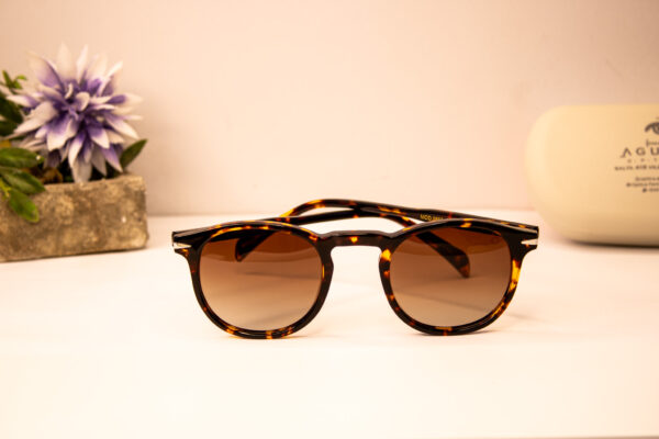 Lentes de sol - Carolina emanuel