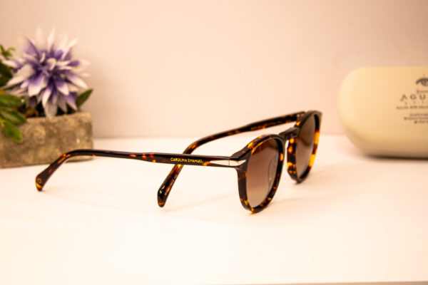 Lentes de sol - Carolina emanuel