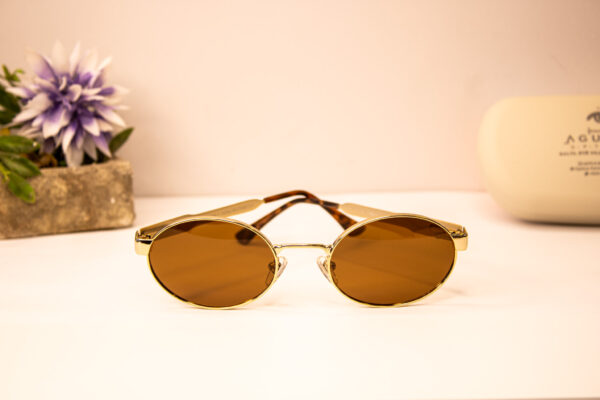 Lentes de sol - Carolina emanuel