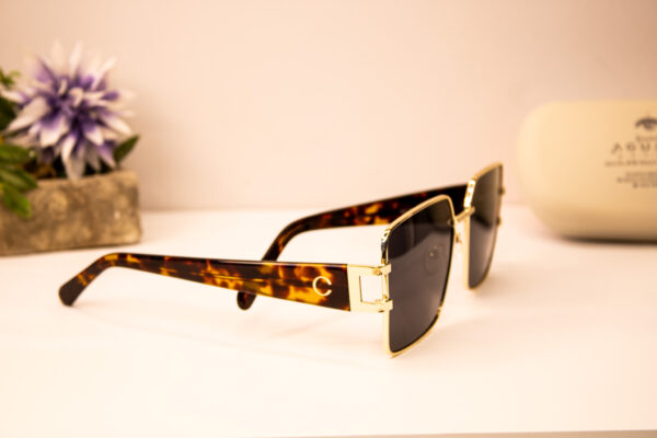 Lentes de sol - Carolina emanuel